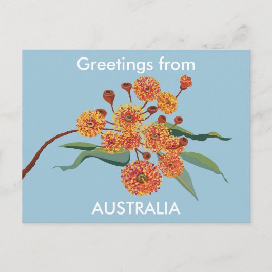 Australische gombloesems briefkaart (Voorkant)