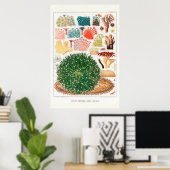 Australische Great Barrier Reef Coral Poster (Thuiskantoor)