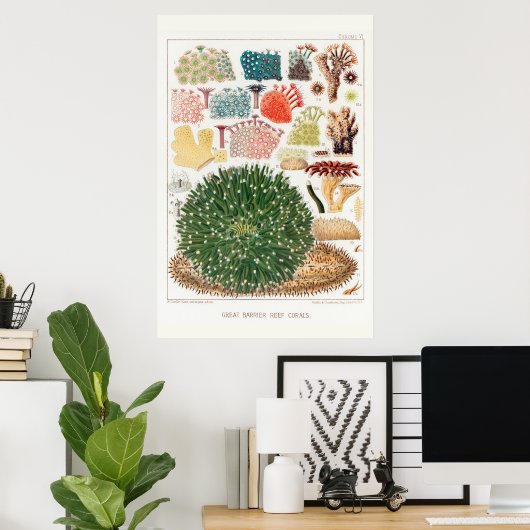 Australische  Great Barrier Reef Coral Poster (Thuiskantoor)