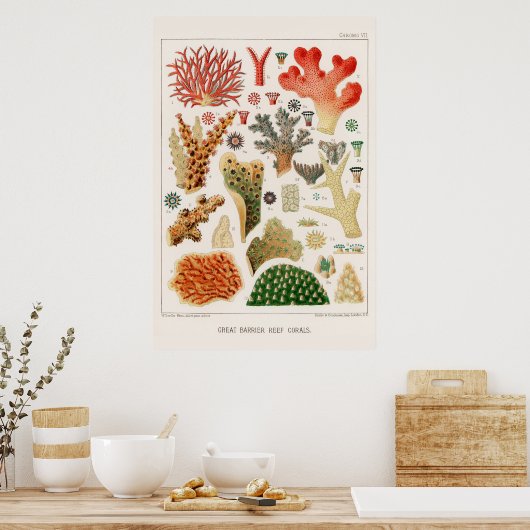 Australische Great Barrier Reef Coral Poster (Keuken)