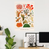 Australische  Great Barrier Reef Coral Poster (Thuiskantoor)