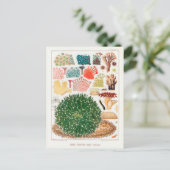 Australische Great Barrier Reef Coral Poster Briefkaart (Staand voorkant)