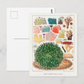 Australische Great Barrier Reef Coral Poster Briefkaart (Voorkant / Achterkant)