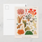 Australische Great Barrier Reef Coral Poster Briefkaart (Voorkant / Achterkant)