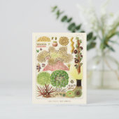 Australische  Great Barrier Reef Poster Briefkaart (Staand voorkant)