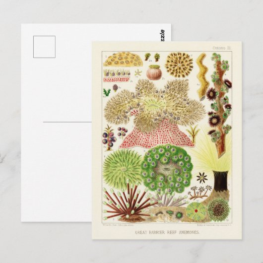 Australische  Great Barrier Reef Poster Briefkaart (Voorkant / Achterkant)