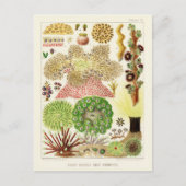 Australische  Great Barrier Reef Poster Briefkaart (Voorkant)