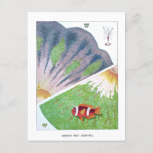 Australische Great Barrier Reef Revel Briefkaart