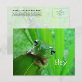 Australische groene boomkikker, witte boomkikker briefkaart (Voorkant / Achterkant)