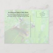 Australische groene boomkikker, witte boomkikker briefkaart (Achterkant)