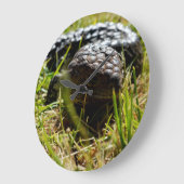 Australische hagedis (Stumpy)   Grote Klok (Hoek)