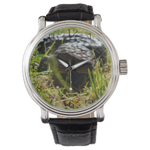Australische Hagedis (Stumpy)    Horloge