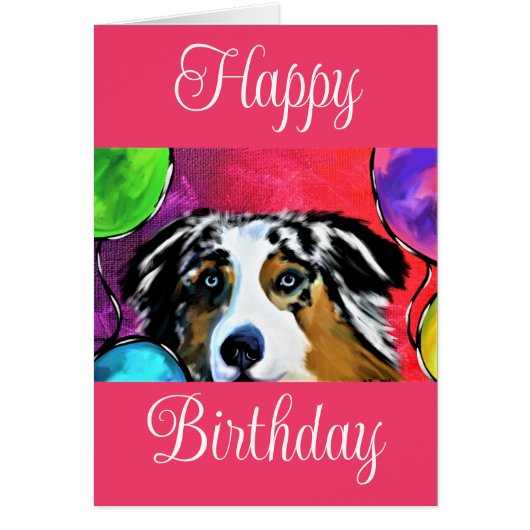 Australische Herder (Voorkant)