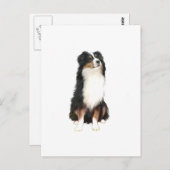 AUSTRALISCHE HERDER (A) - Tri Color Briefkaart (Voorkant / Achterkant)