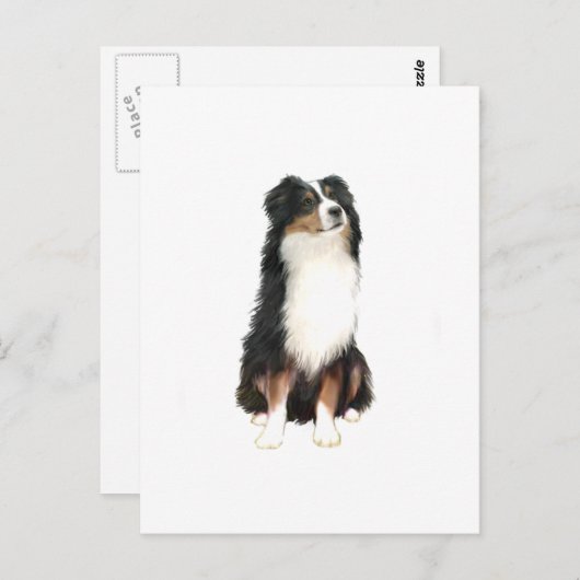 AUSTRALISCHE HERDER (A) - Tri Color Briefkaart (Voorkant / Achterkant)