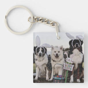 Australische herder, Aussie, herder Sleutelhanger