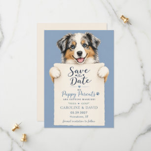 Australische Herder Australische Hond Huisdier Die Save The Date