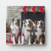Australische Herder bij de Haard Kerstmis Fotoplaat (Voorkant)
