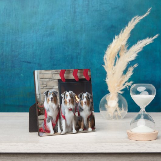 Australische Herder bij de Haard Kerstmis Fotoplaat (Insitu)
