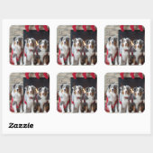 Australische Herder bij de Haard Kerstmis Vierkante Sticker (Vel)