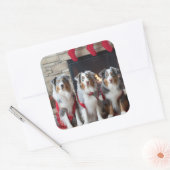 Australische Herder bij de Haard Kerstmis Vierkante Sticker (Envelop)