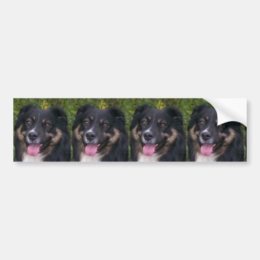 Australische herder black tri bumpersticker (Voorkant)