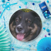 Australische herder black tri papieren bordje (Feest)