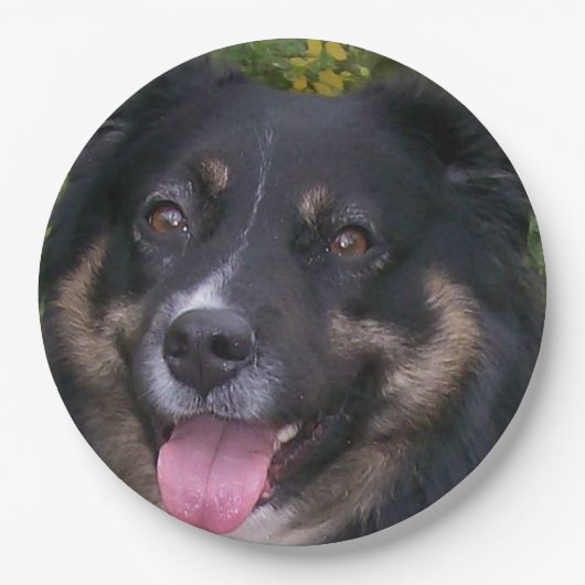 Australische herder black tri papieren bordje (Voorkant)