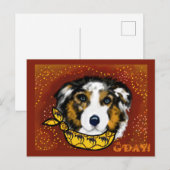 AUSTRALISCHE HERDER       BRIEFKAART (Voorkant / Achterkant)