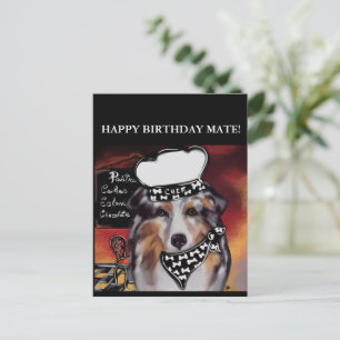 AUSTRALISCHE HERDER  BRIEFKAART