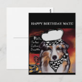 AUSTRALISCHE HERDER  BRIEFKAART (Voorkant / Achterkant)