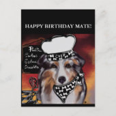 AUSTRALISCHE HERDER  BRIEFKAART (Voorkant)