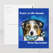 AUSTRALISCHE HERDER    BRIEFKAART (Voorkant / Achterkant)