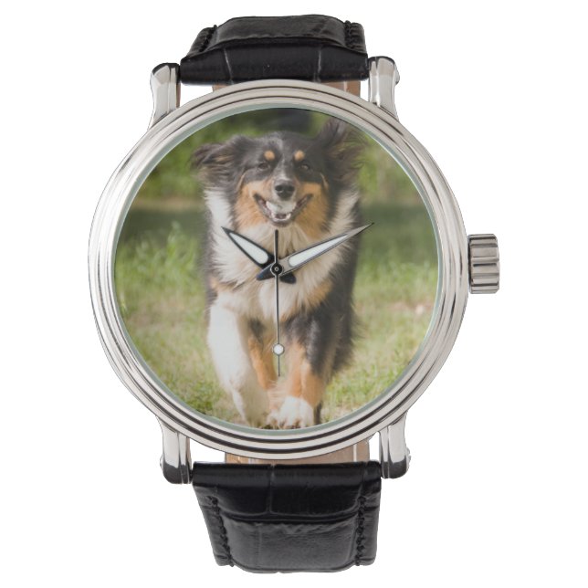 Australische herder die met bal speelt horloge (Voorkant)