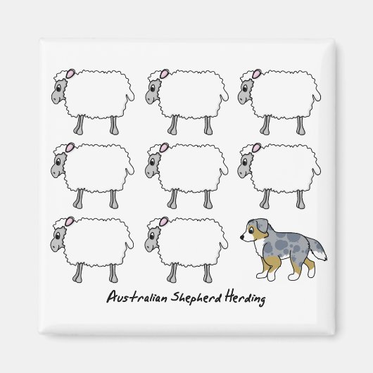 Australische Herder Herding Schaap Magnet (Voorkant)