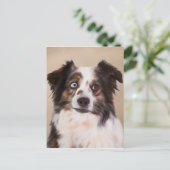 Australische herder hond olie schilderij kunst briefkaart (Staand voorkant)
