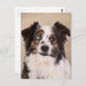 Australische herder hond olie schilderij kunst briefkaart (Voorkant / Achterkant)