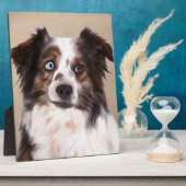 Australische herder hond olie schilderij kunst fotoplaat (Zijkant)