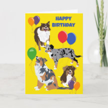Australische herder honden en ballonnen verjaardag