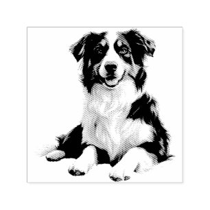 Australische Herder Huisdier Hond Dier Kunst Zelfinktende Stempel