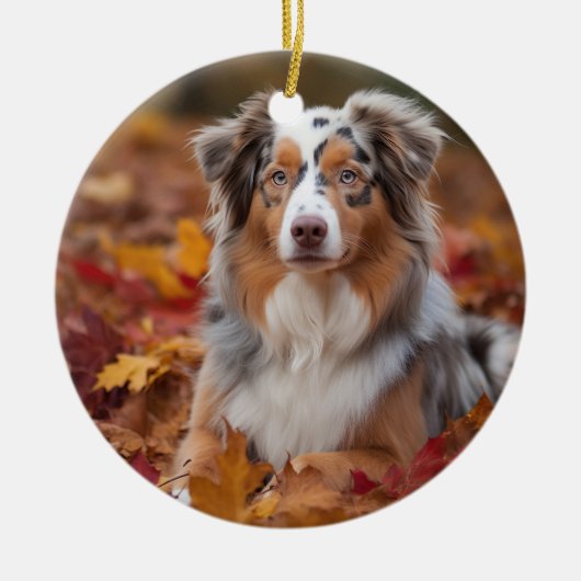 Australische herder in herfst laat Herfst inspirer Keramisch Ornament (Voorkant)