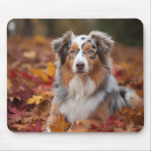 Australische herder in herfst laat Herfst inspirer Muismat (Voorkant)