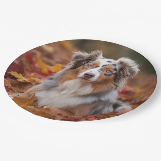 Australische herder in herfst laat Herfst inspirer Papieren Bordje