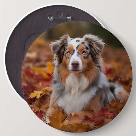 Australische herder in herfst laat Herfst inspirer Ronde Button 6,0 Cm (Voorkant /achterkant)