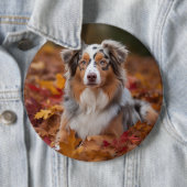 Australische herder in herfst laat Herfst inspirer Ronde Button 6,0 Cm (In situ)