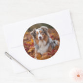 Australische herder in herfst laat Herfst inspirer Ronde Sticker (Envelop)