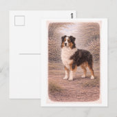 Australische herder in vintage-stijl briefkaart (Voorkant / Achterkant)