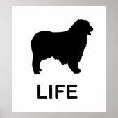 australische herder leven poster (Voorkant)