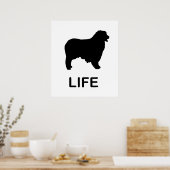 australische herder leven poster (Keuken)