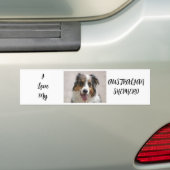 Australische herder Merle Bumpersticker (Op auto)